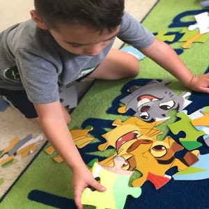 Giant Puzzle